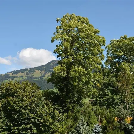 Lägenhet Abendrot By Interhome Gstaad