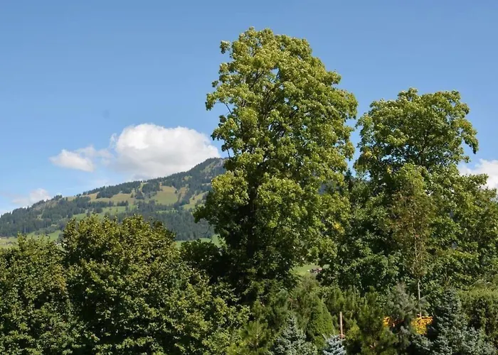 Lägenhet Abendrot By Interhome Gstaad